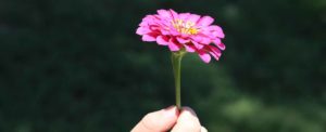 counselling experience