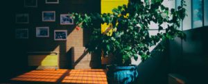 counselling, counselling psychology
