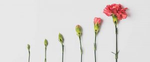 counselling, counselling psychology