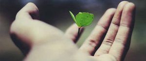 counselling, counselling psychology