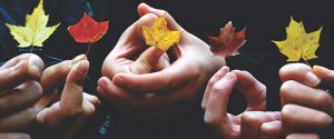 special needs, special education