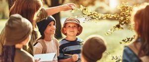 wsq, special needs, special education