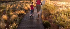 special education, special needs