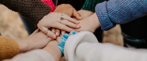 wsq, special needs, special education