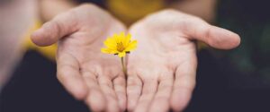 counselling, counselling psychology